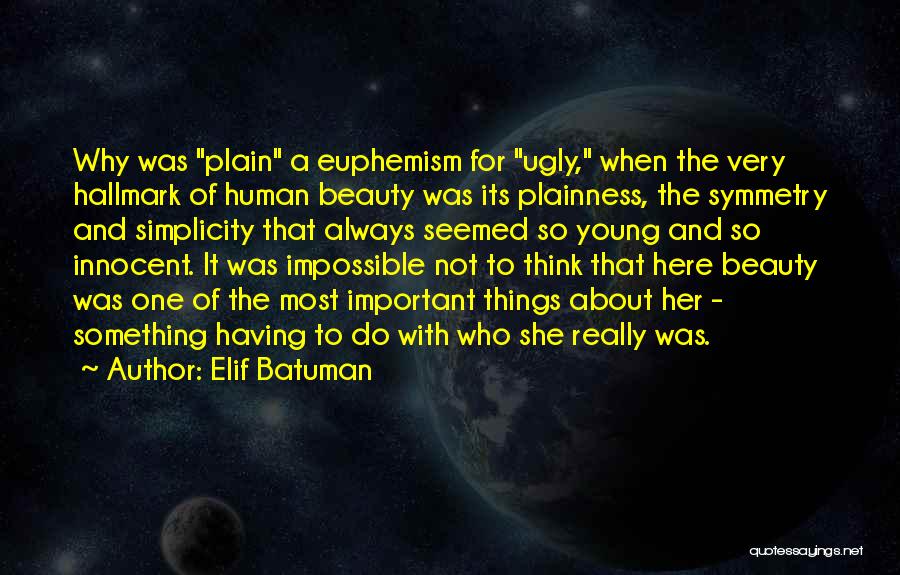 Beauty And Simplicity Quotes By Elif Batuman