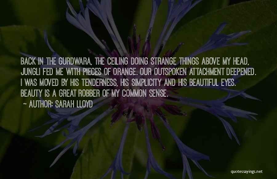 Beauty And Simplicity Quotes By Sarah Lloyd