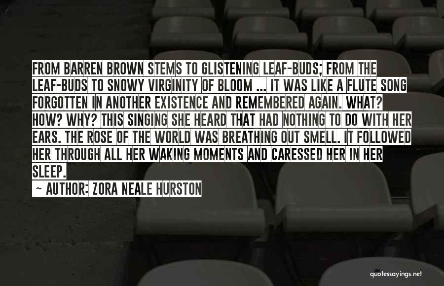 Beauty And Sleep Quotes By Zora Neale Hurston