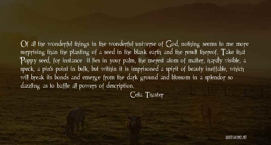 Beauty And Splendor Quotes By Celia Thaxter Beauty And Splendor Quotes By Celia Thaxter