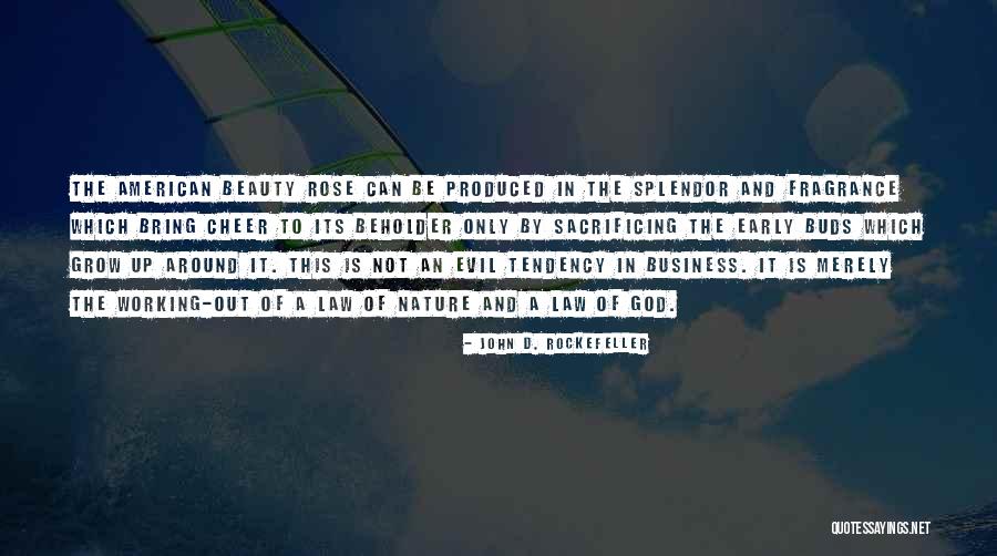 Beauty And Splendor Quotes By John D. Rockefeller Beauty And Splendor Quotes By John D. Rockefeller