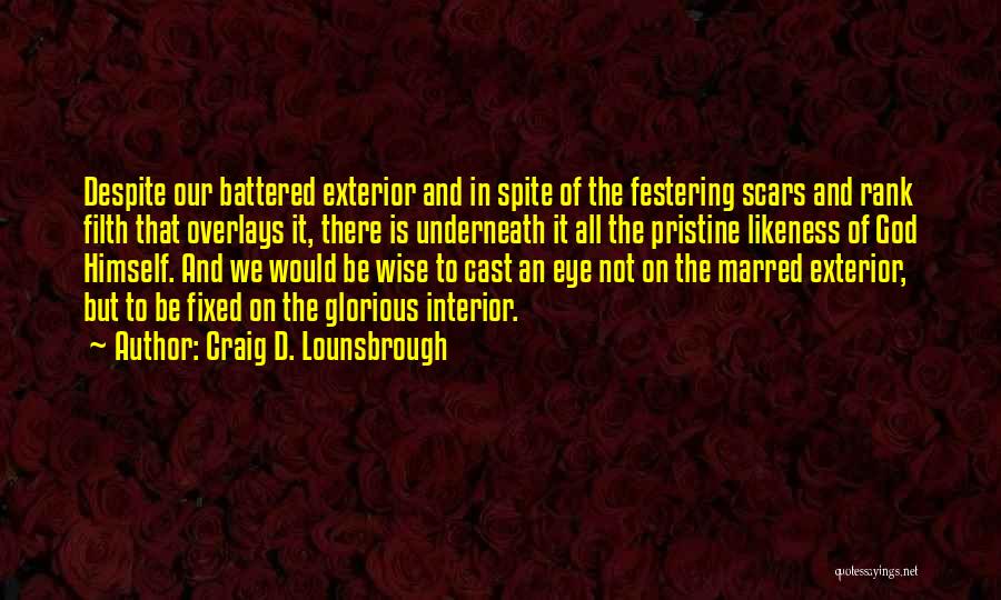 Beauty And Strength Quotes By Craig D. Lounsbrough