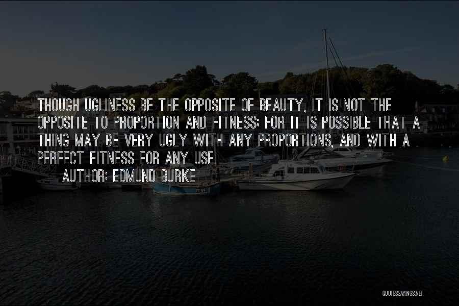 Beauty And Ugliness Quotes By Edmund Burke