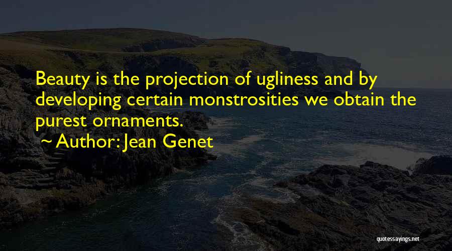 Beauty And Ugliness Quotes By Jean Genet