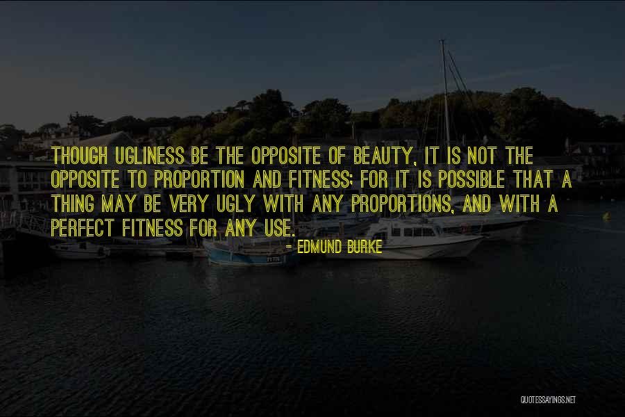 Beauty And Ugly Quotes By Edmund Burke