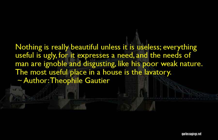 Beauty And Ugly Quotes By Theophile Gautier