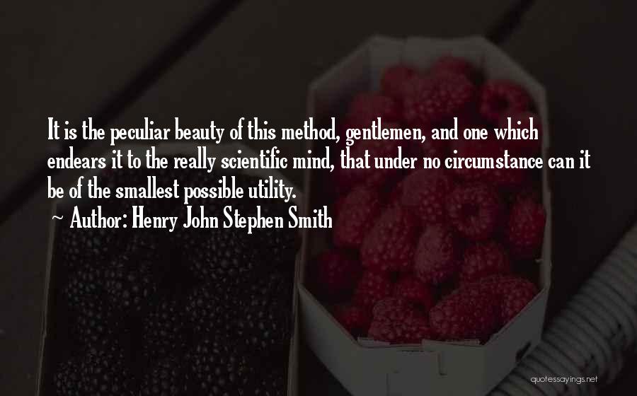 Beauty And Utility Quotes By Henry John Stephen Smith