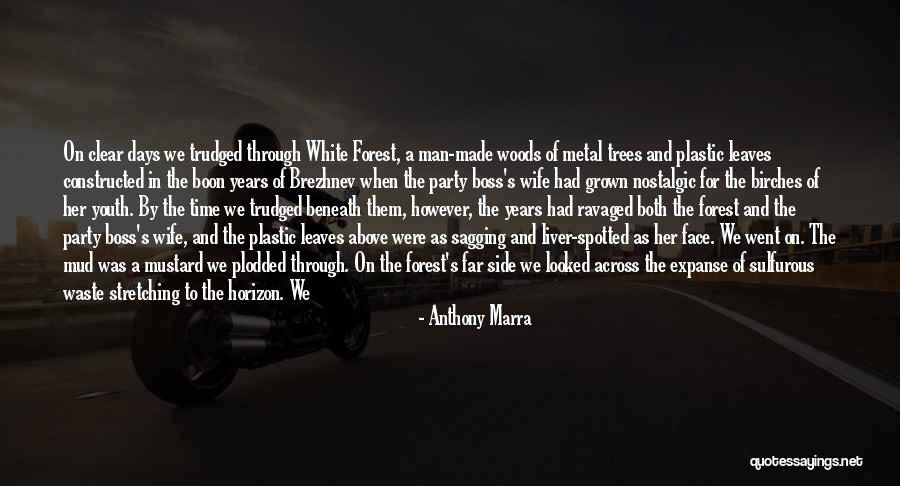 Beauty Beneath Quotes By Anthony Marra