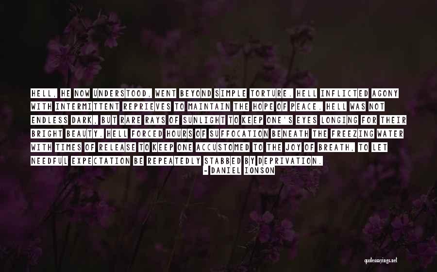 Beauty Beneath Quotes By Daniel Ionson Beauty Beneath Quotes By Daniel Ionson