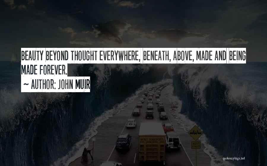 Beauty Beneath Quotes By John Muir