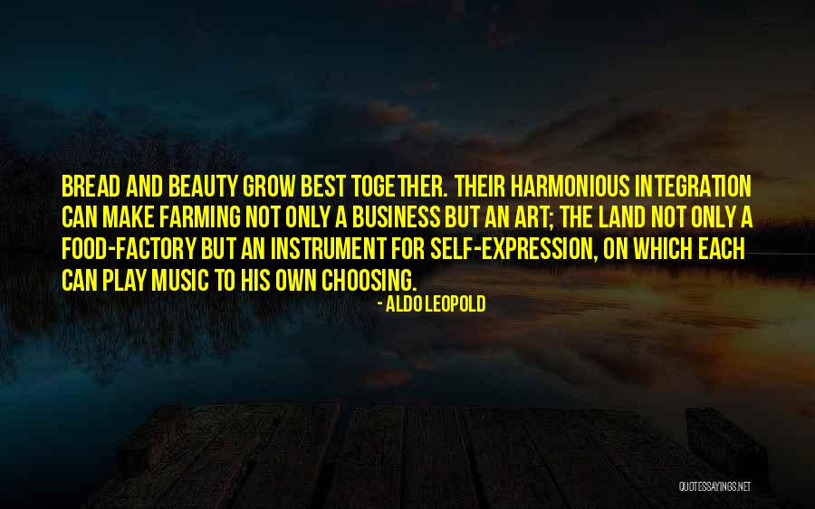 Beauty Business Quotes By Aldo Leopold Beauty Business Quotes By Aldo Leopold