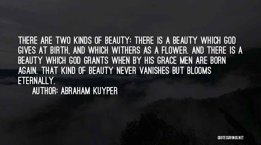 Beauty By God Quotes By Abraham Kuyper