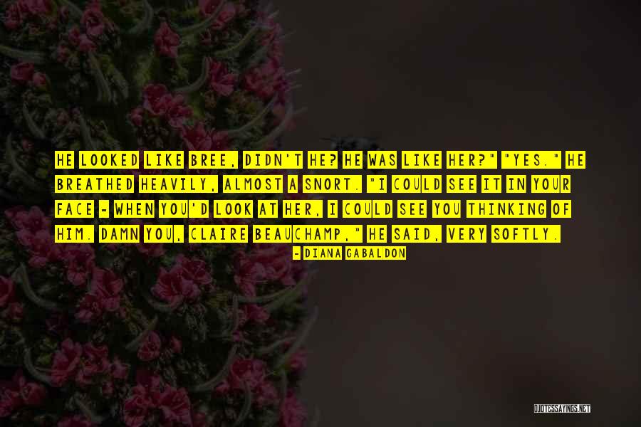 Beauty By Maya Angelou Quotes By Diana Gabaldon Beauty By Maya Angelou Quotes By Diana Gabaldon