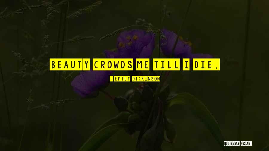 Beauty Dies Quotes By Emily Dickinson Beauty Dies Quotes By Emily Dickinson