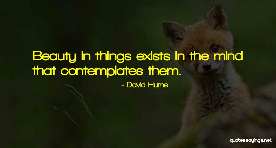 Beauty Exists Quotes By David Hume