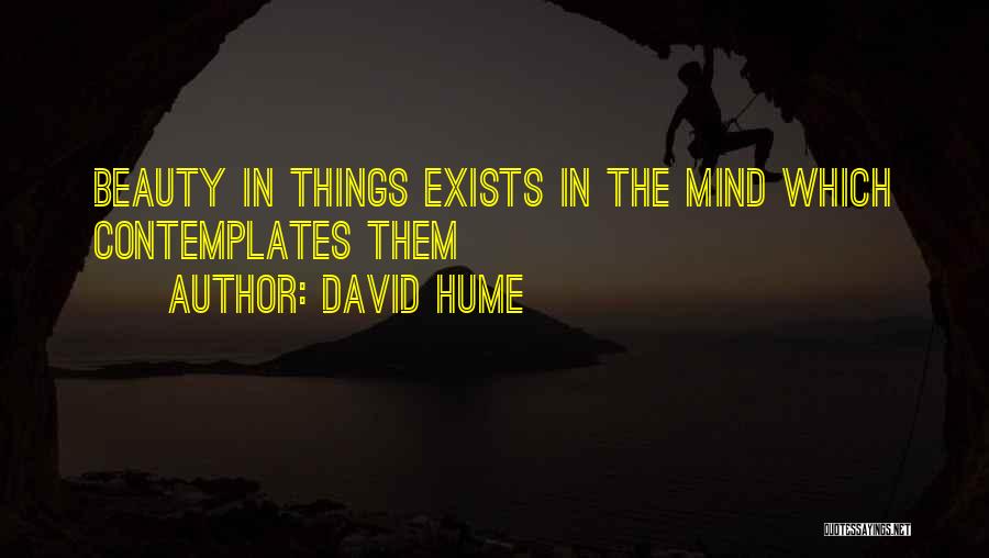Beauty Exists Quotes By David Hume