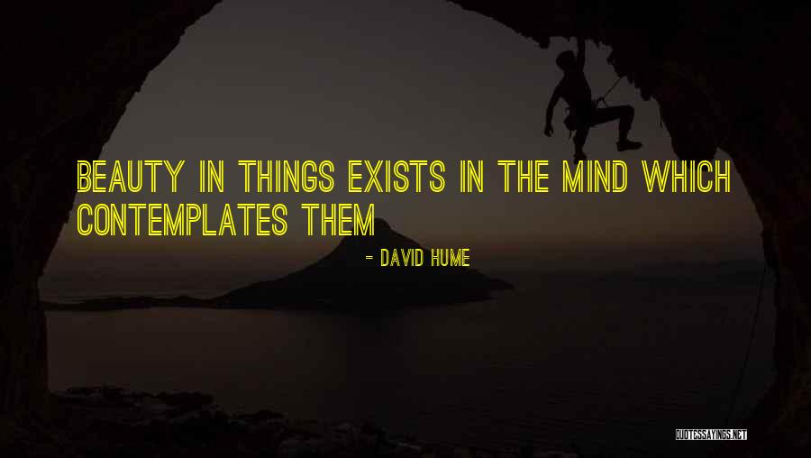 Beauty Exists Quotes By David Hume