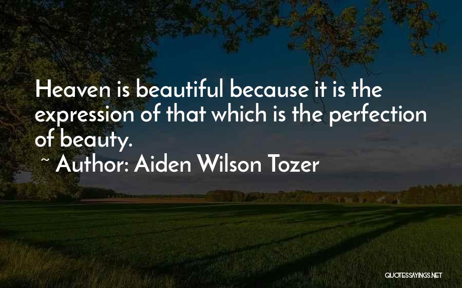 Beauty Expression Quotes By Aiden Wilson Tozer