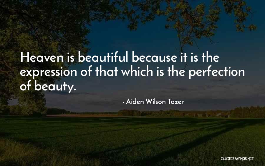 Beauty Expression Quotes By Aiden Wilson Tozer