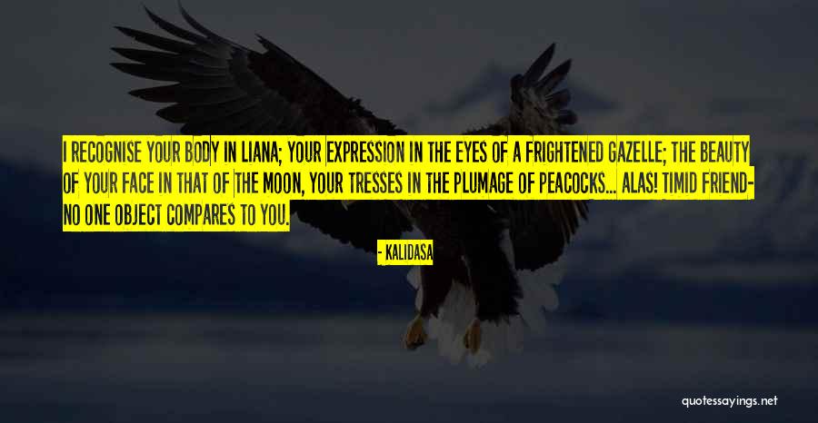 Beauty Expression Quotes By Kalidasa