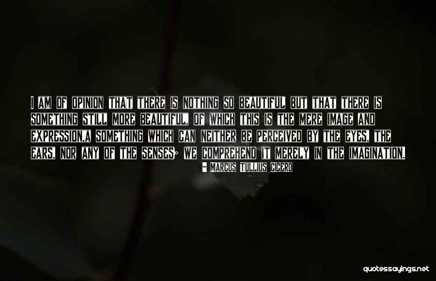 Beauty Expression Quotes By Marcus Tullius Cicero Beauty Expression Quotes By Marcus Tullius Cicero