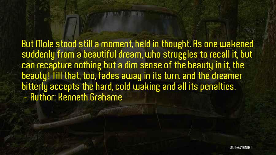 Beauty Fades Away Quotes By Kenneth Grahame