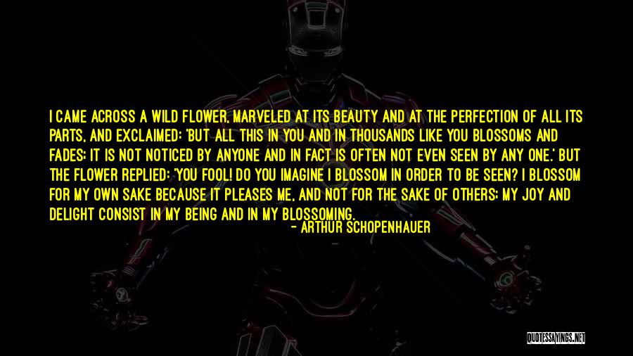 Beauty Fades But Quotes By Arthur Schopenhauer Beauty Fades But Quotes By Arthur Schopenhauer