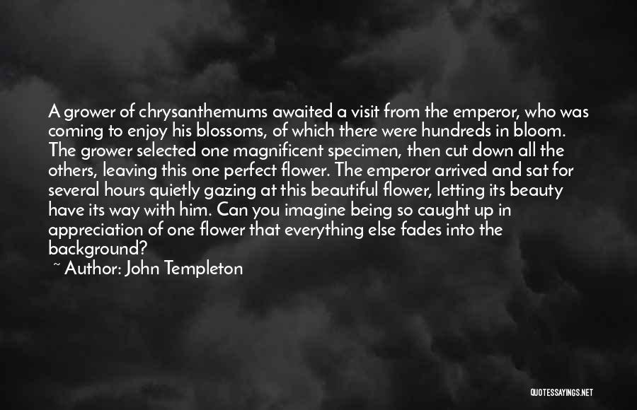 Beauty Fades Quotes By John Templeton