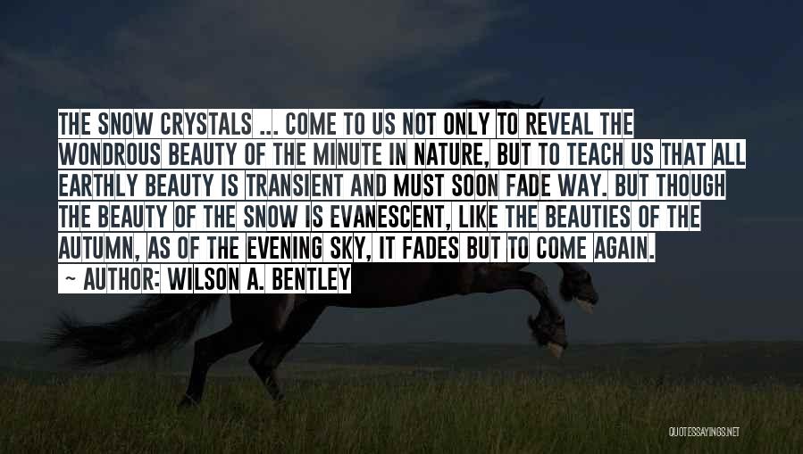 Beauty Fades Quotes By Wilson A. Bentley