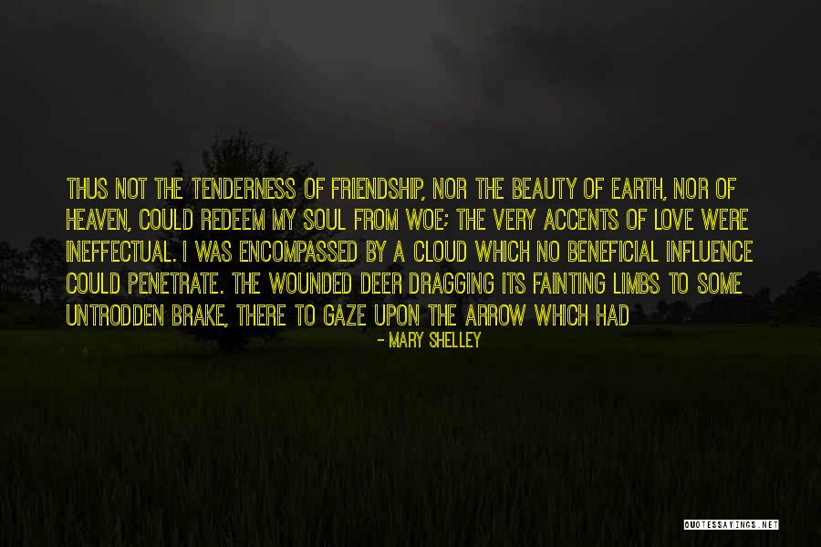 Beauty Friendship Quotes By Mary Shelley Beauty Friendship Quotes By Mary Shelley