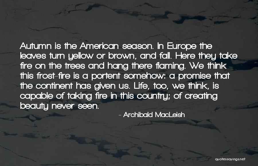 Beauty From American Beauty Quotes By Archibald MacLeish Beauty From American Beauty Quotes By Archibald MacLeish