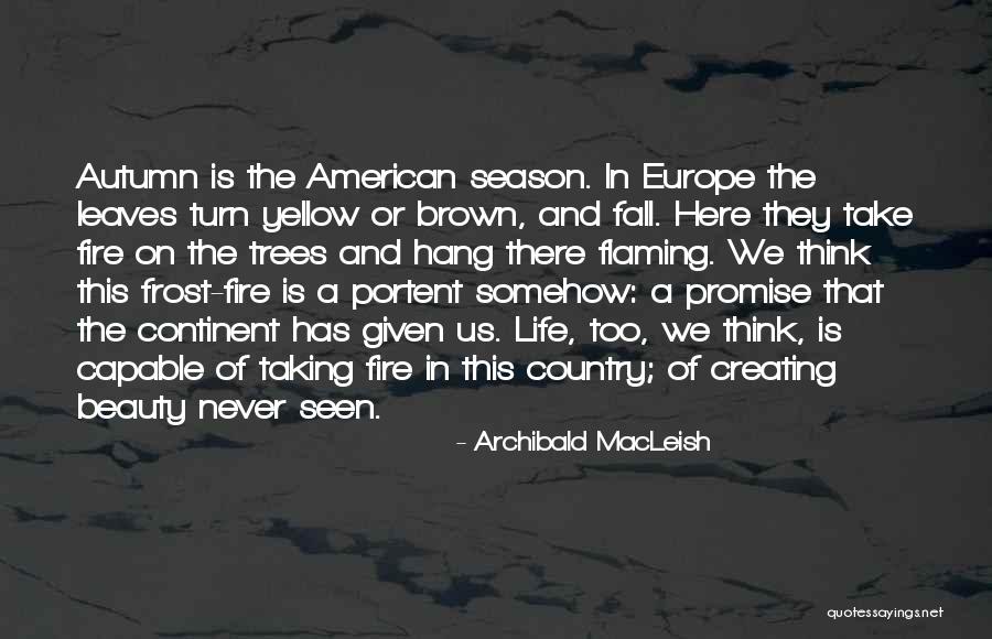 Beauty From American Beauty Quotes By Archibald MacLeish