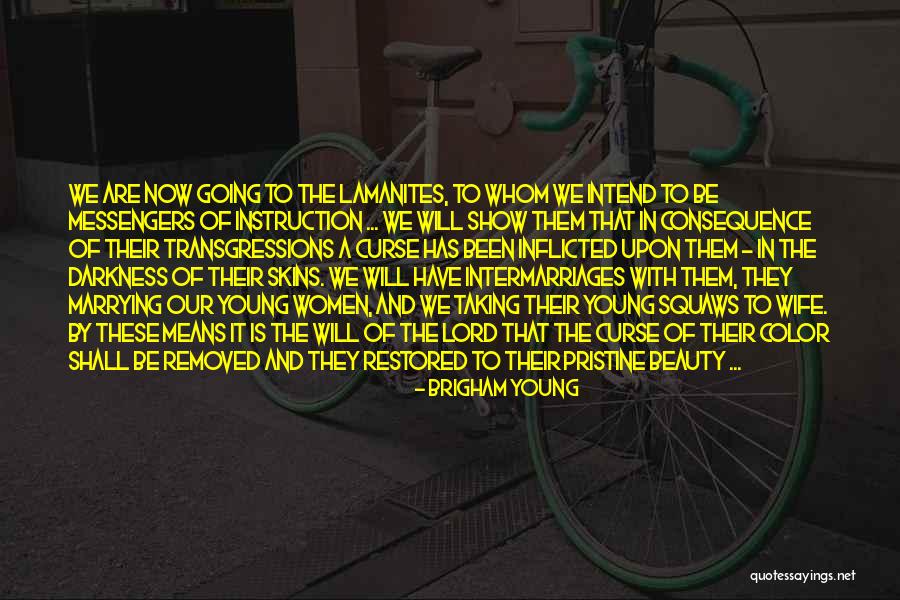 Beauty From American Beauty Quotes By Brigham Young Beauty From American Beauty Quotes By Brigham Young