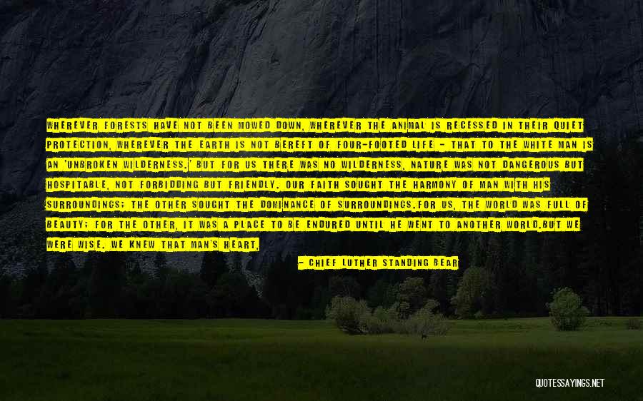 Beauty From American Beauty Quotes By Chief Luther Standing Bear Beauty From American Beauty Quotes By Chief Luther Standing Bear