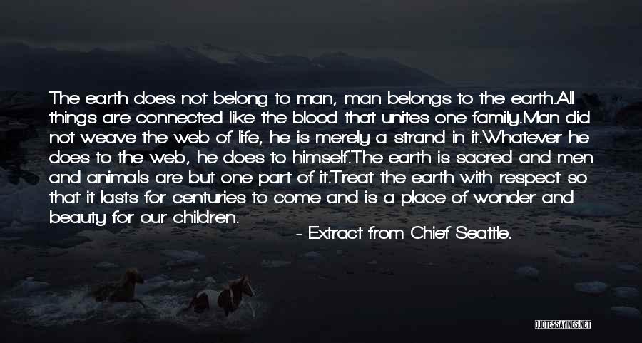 Beauty From American Beauty Quotes By Extract From Chief Seattle.