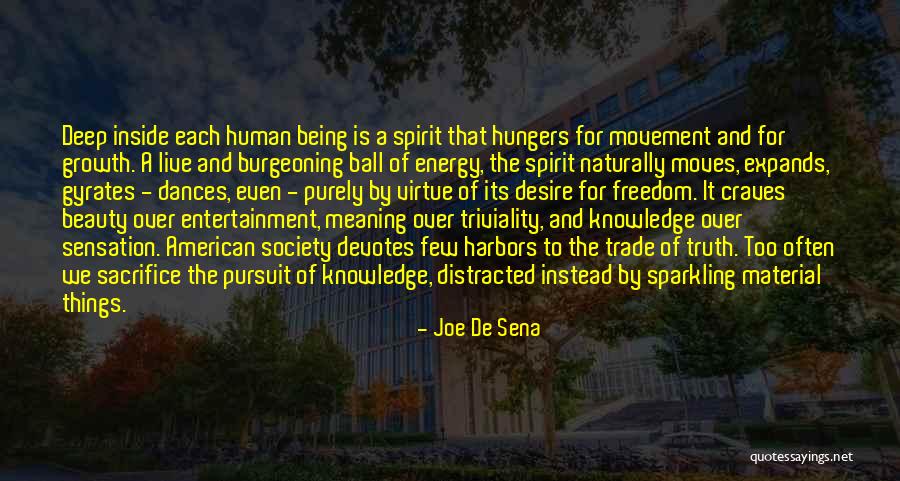 Beauty From American Beauty Quotes By Joe De Sena Beauty From American Beauty Quotes By Joe De Sena