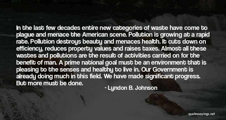 Beauty From American Beauty Quotes By Lyndon B. Johnson