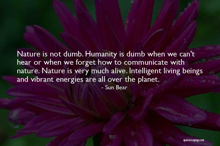 Beauty From American Beauty Quotes By Sun Bear