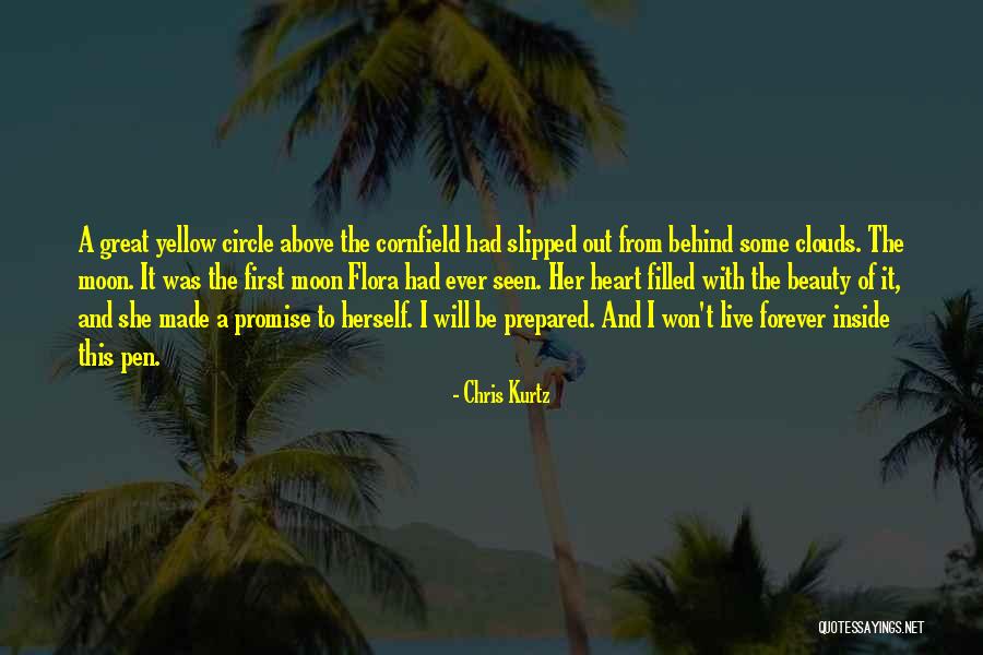 Beauty From The Inside Quotes By Chris Kurtz Beauty From The Inside Quotes By Chris Kurtz