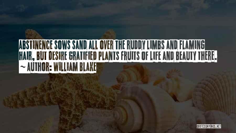 Beauty Hair Quotes By William Blake