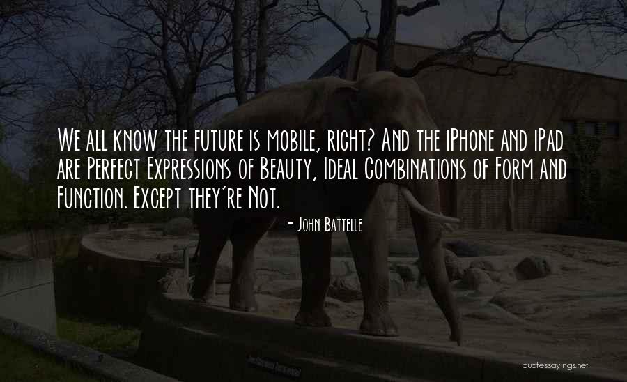 Beauty Ideal Quotes By John Battelle Beauty Ideal Quotes By John Battelle