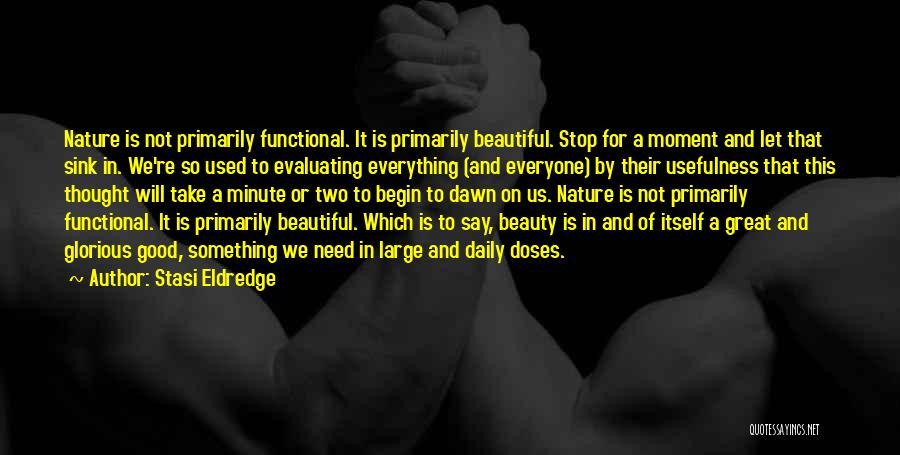 Beauty In Everything Quotes By Stasi Eldredge