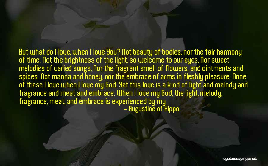 Beauty In God's Eyes Quotes By Augustine Of Hippo Beauty In God's Eyes Quotes By Augustine Of Hippo