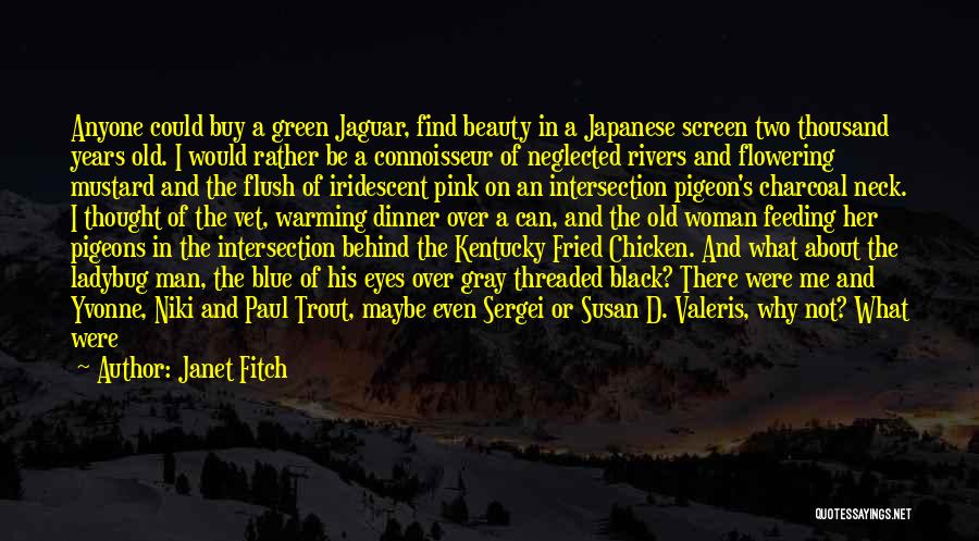 Beauty In Her Eyes Quotes By Janet Fitch
