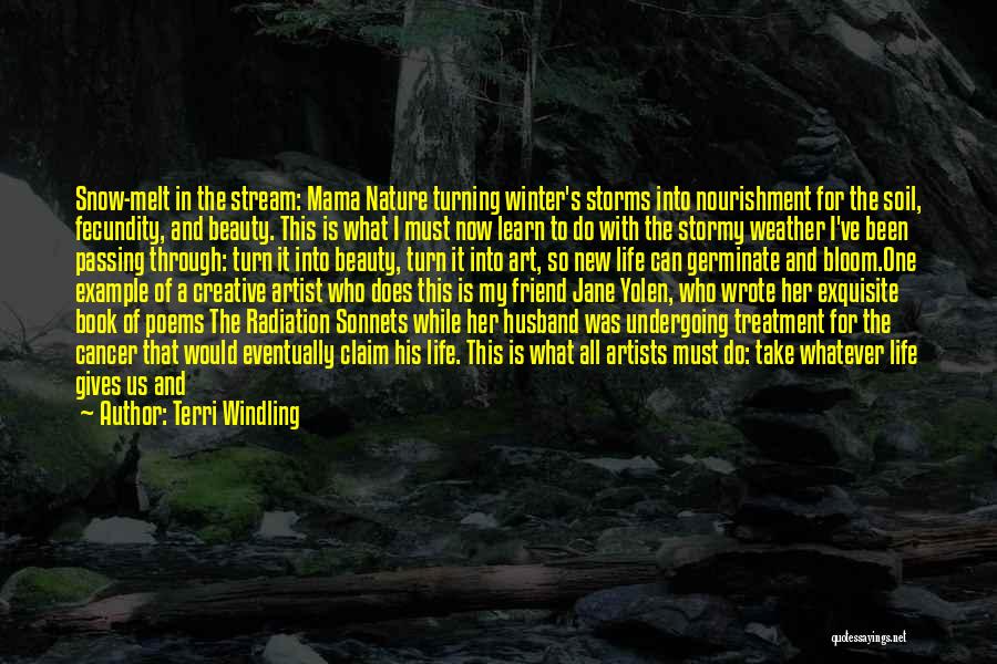 Beauty In Her Quotes By Terri Windling