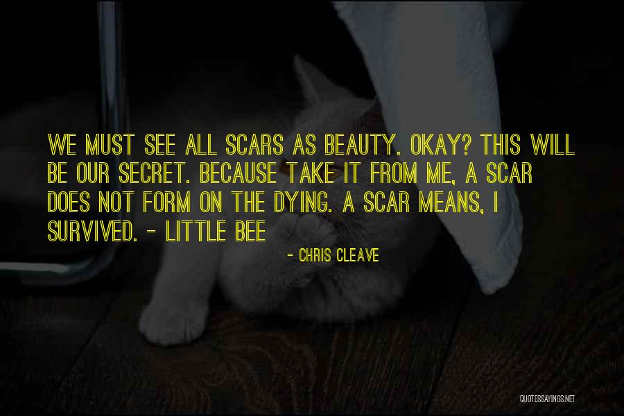 Beauty In Scars Quotes By Chris Cleave Beauty In Scars Quotes By Chris Cleave