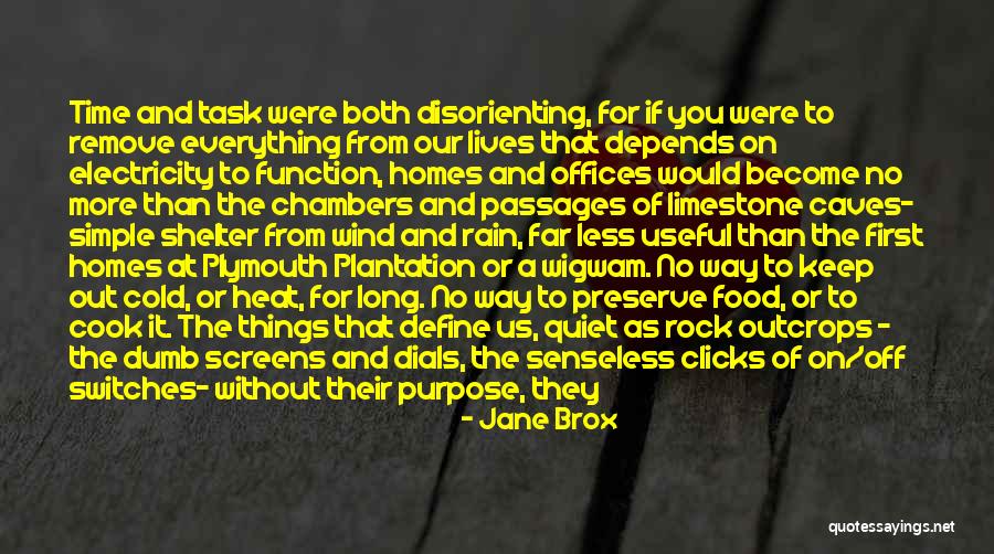 Beauty In Simple Things Quotes By Jane Brox