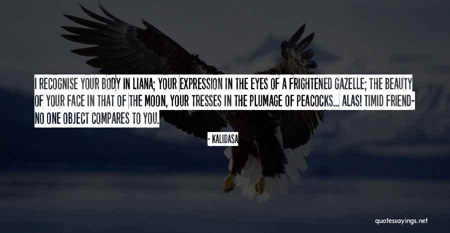 Beauty In The Face Quotes By Kalidasa Beauty In The Face Quotes By Kalidasa