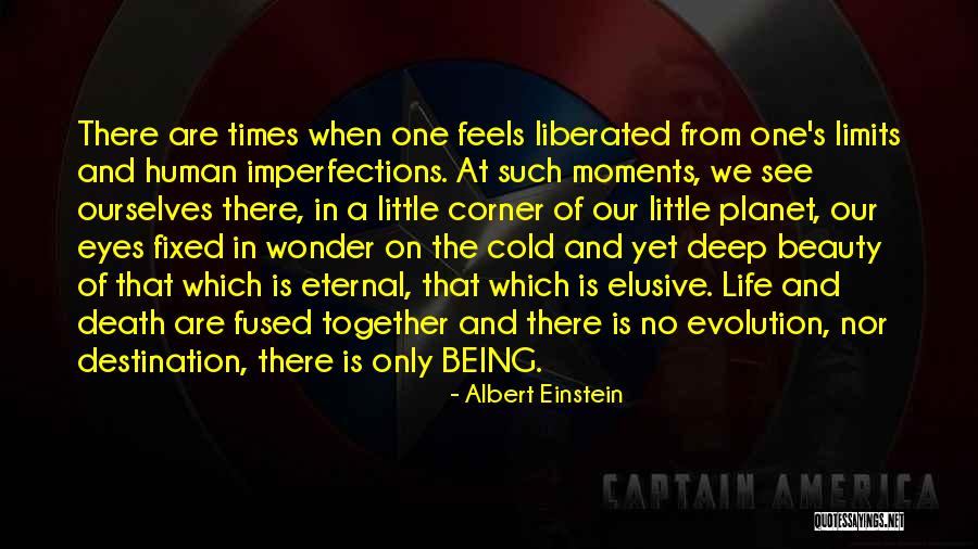 Beauty In The Imperfections Quotes By Albert Einstein Beauty In The Imperfections Quotes By Albert Einstein