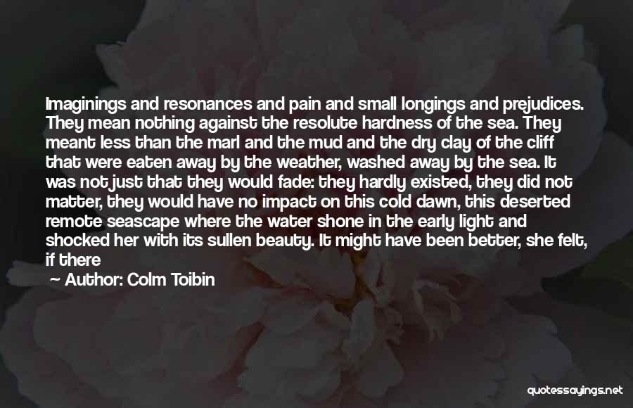 Beauty In The Morning Quotes By Colm Toibin